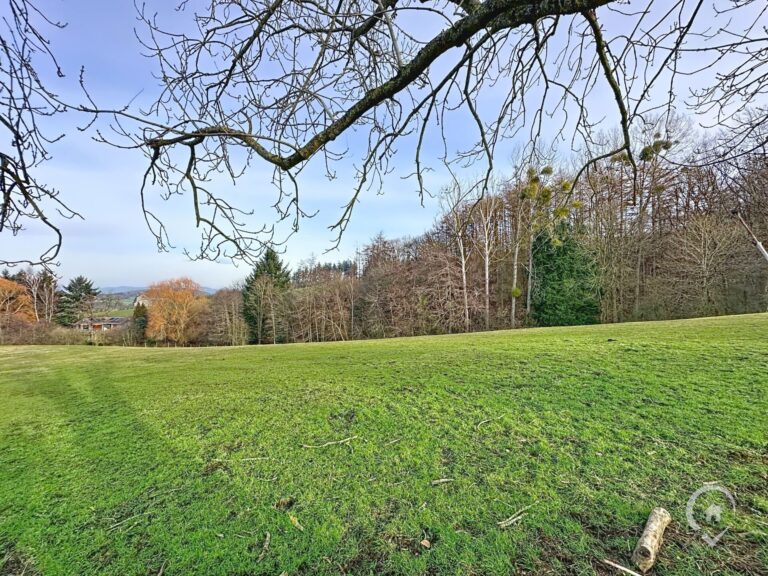 Condrogest - VENDU- Superbe terrain agricole de 95 ares 90 centiares