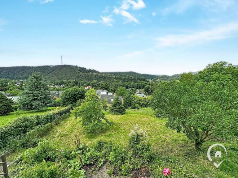 Condrogest - Fermette à rénover avec vue panoramique à vendre à Godinne