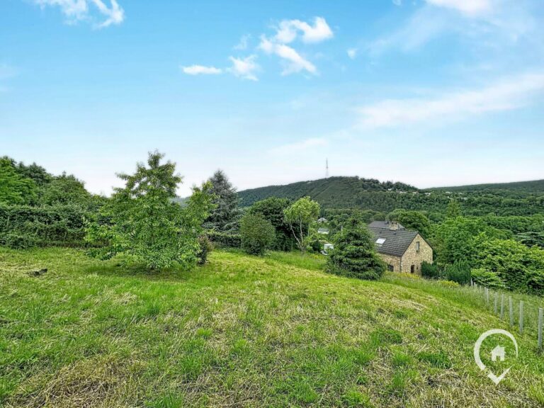 Condrogest - Fermette à rénover avec vue panoramique à vendre à Godinne