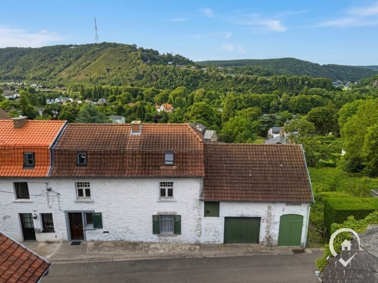 Condrogest - Fermette à rénover avec vue panoramique à vendre à Godinne