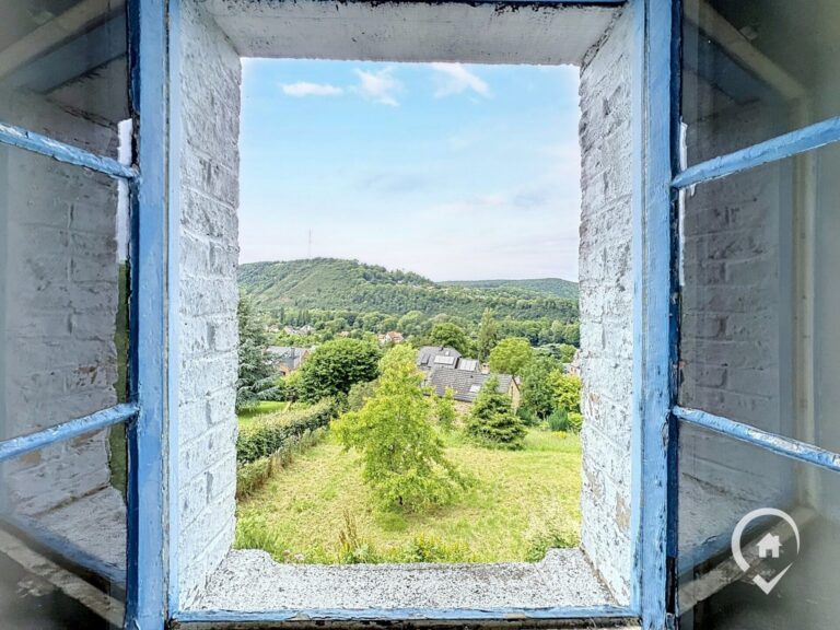Condrogest - Fermette à rénover avec vue panoramique à vendre à Godinne
