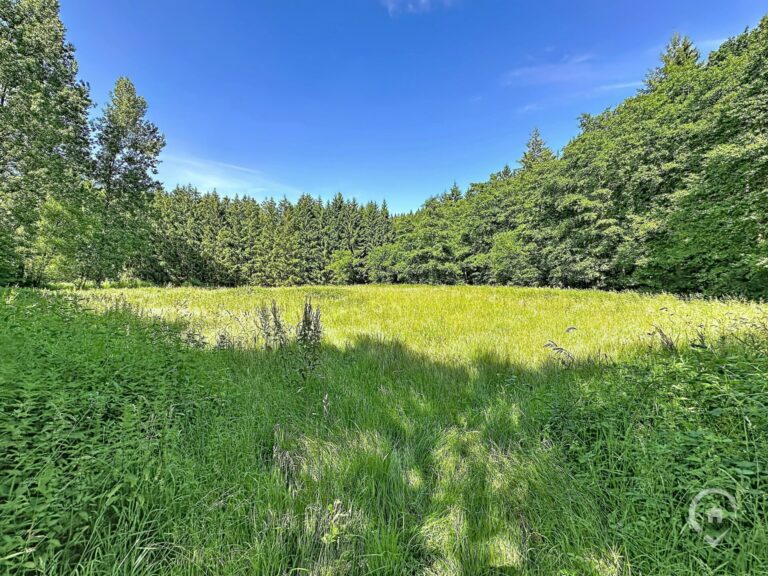 Condrogest - SOUS OPTION !!! Maison avec grange et 1,23 ha de terrain à vendre à Harsin