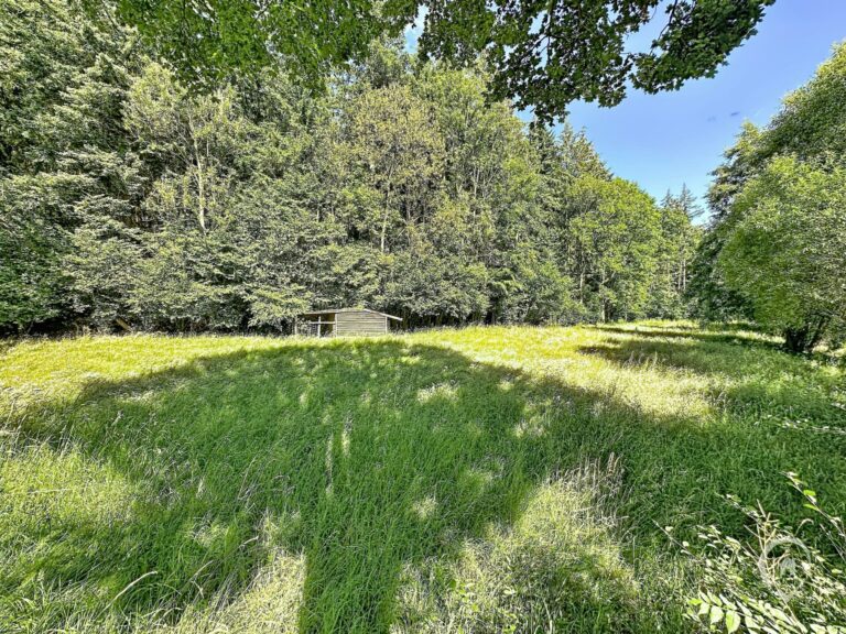 Condrogest - SOUS OPTION !!! Maison avec grange et 1,23 ha de terrain à vendre à Harsin