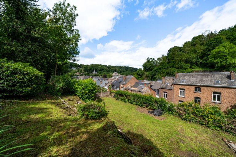 Condrogest - Maison 4 chambres avec grand jardin à vendre à Dinant