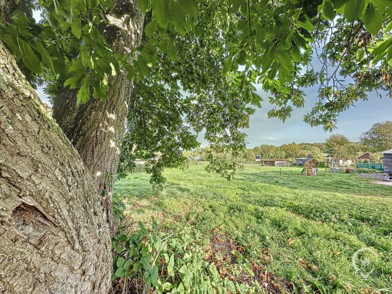 Condrogest - Terrain de 22ares 54ca avec superbe vue à vendre