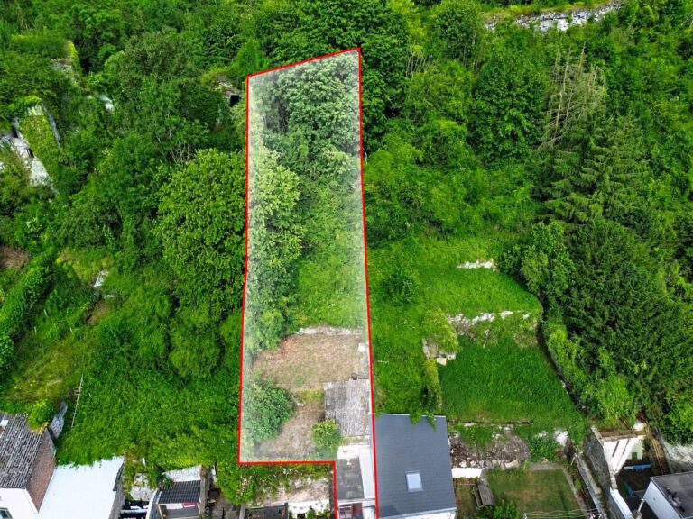 Condrogest - Maison de ville 3 chambres et jardin à vendre à Dinant