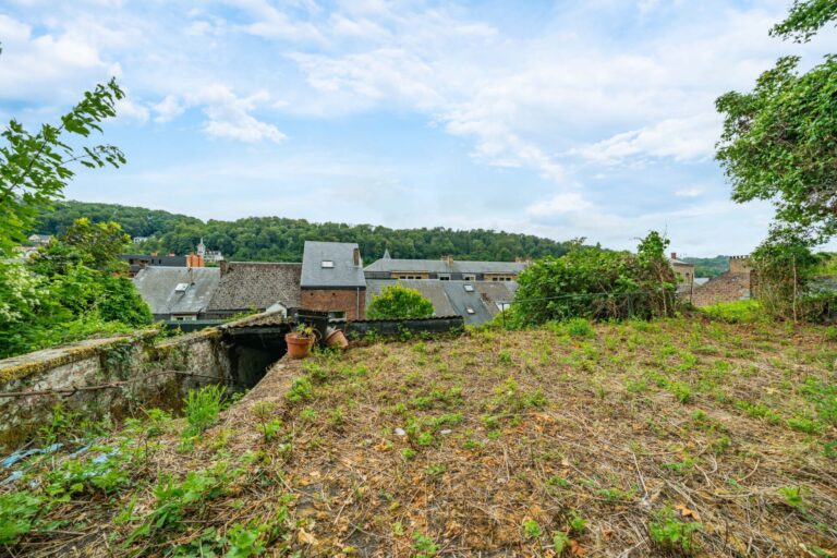 Condrogest - Maison de ville 3 chambres et jardin à vendre à Dinant