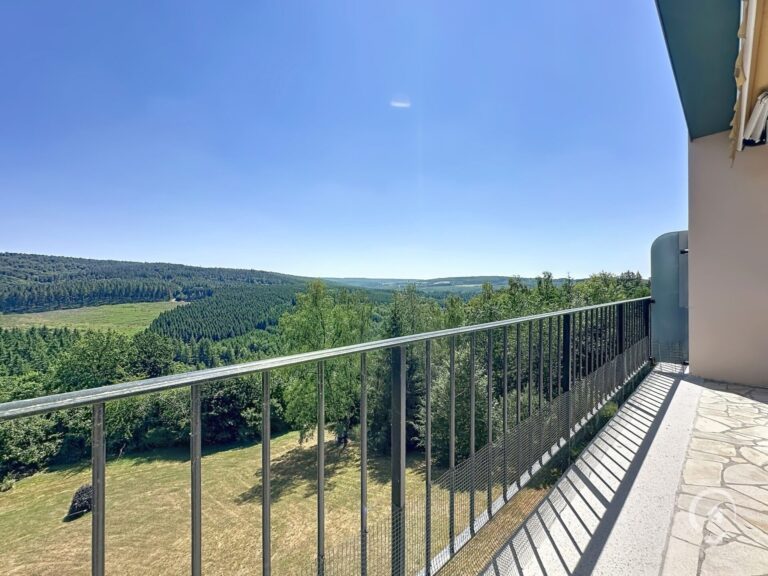 Condrogest - Studio avec cave, garage, balcon et une superbe vue