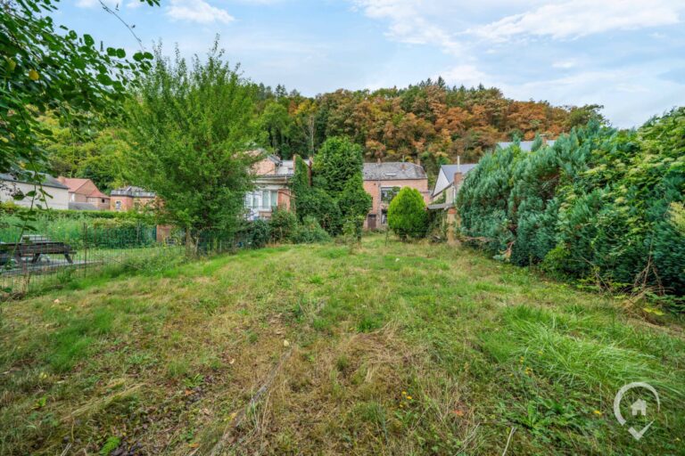Condrogest - Maison 3 chambres à vendre au centre d'Hastière