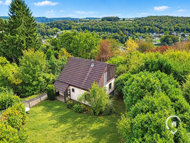 Condrogest - Chalet sur 34 ares à vendre à Hastière - beau potentiel