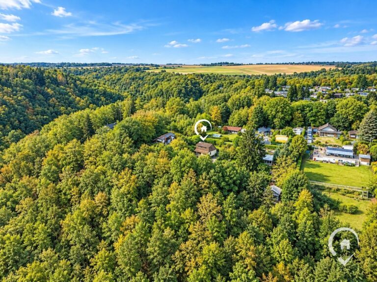Condrogest - Chalet sur 34 ares à vendre à Hastière - beau potentiel