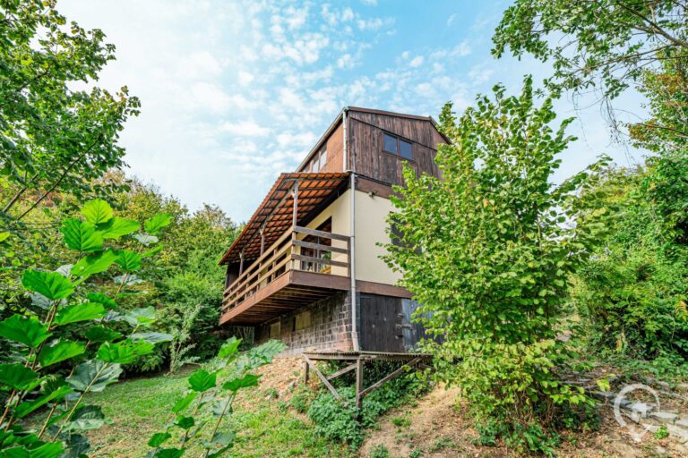 Condrogest - Chalet sur 34 ares à vendre à Hastière - beau potentiel