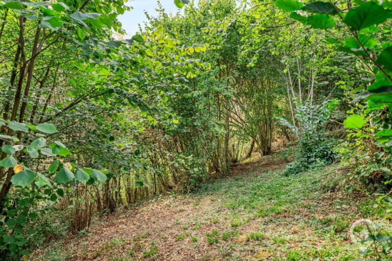 Condrogest - Chalet sur 34 ares à vendre à Hastière - beau potentiel