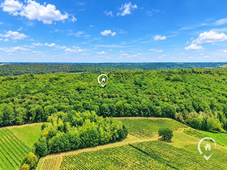Condrogest - Chalet à vendre à Annevoie – bois de Marly