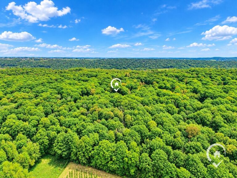 Condrogest - Chalet à vendre à Annevoie – bois de Marly