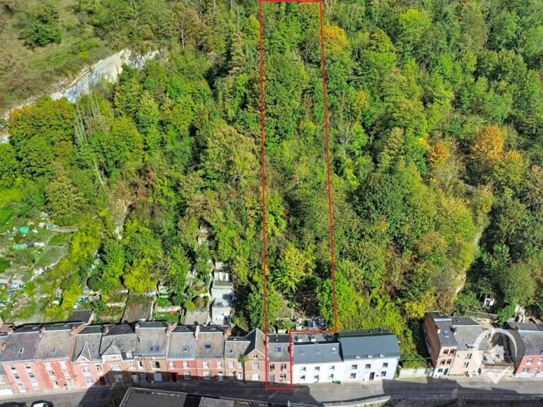 Condrogest - Maison à Dinant – investissement locatif ou touristique