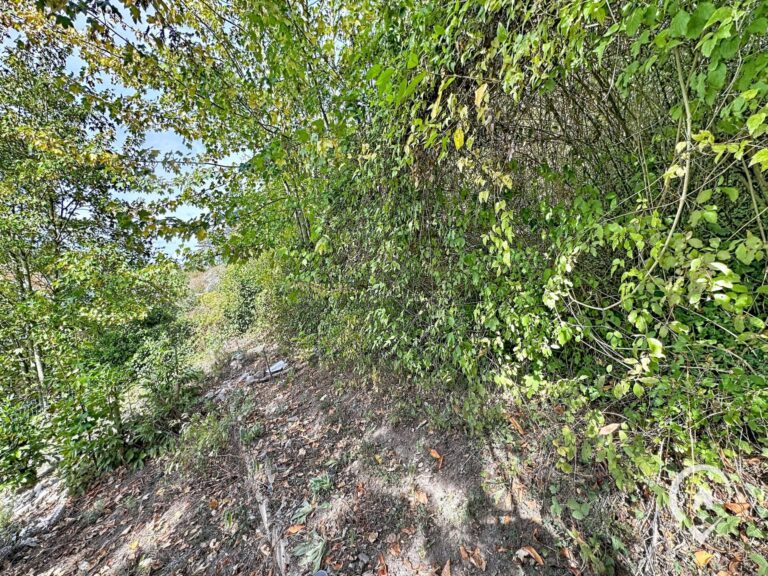 Condrogest - Maison à Dinant – investissement locatif ou touristique