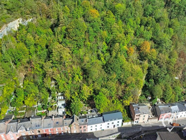 Condrogest - Maison à Dinant – investissement locatif ou touristique