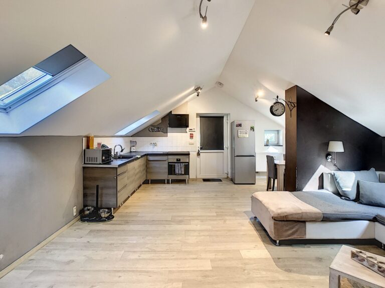 Condrogest - Appartement 1 chambre à Jemelle