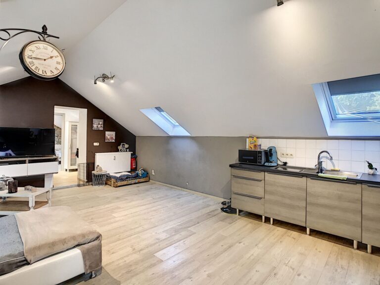 Condrogest - Appartement 1 chambre à Jemelle
